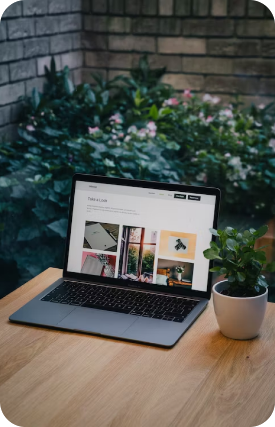 Web designer in mangalore